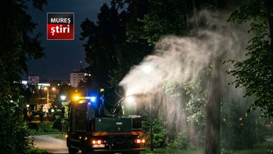 targu-mures:-dezinsectie-generala-in-municipiu-in-aceasta-noapte!