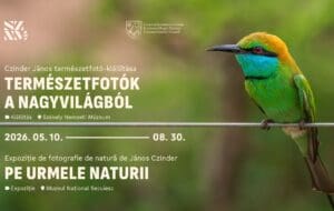 ziua-pasarilor-si-a-arborilor,-marcata-la-muzeul-national-secuiesc-prin-expozitia-de-fotografie-„pe-urmele-naturii”