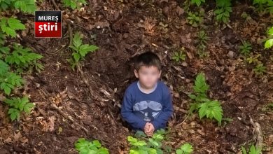 miracolul-din-padure:-alex,-baietelul-de-5-ani-din-sibiu,-gasit-in-viata-dupa-trei-zile-de-cosmar!-video