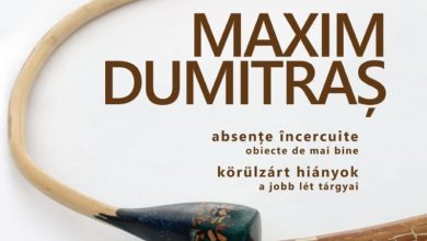 expozitie-maxim-dumitras,-la-targu-mures