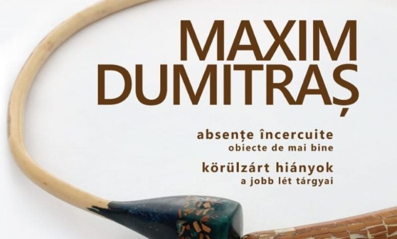 expozitie-maxim-dumitras,-la-targu-mures