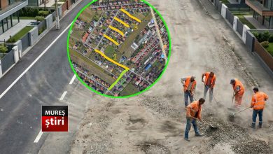 analiza-risipa-pe-„hartie”,-noroi-in-realitate:-cum-a-cheltuit-primaria-targu-mures-90.000-de-lei-pe-„carpeli”-pe-strada-hagi-stoian!