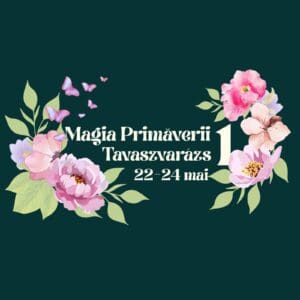 „magia-primaverii”-transforma-cetatea-medievala-intr-un-festival-al-florilor