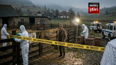alerta-epidemiologica:-variola-ovina-face-prapad-in-mures!-sute-de-animale-sacrificate-pentru-a-opri-dezastrul