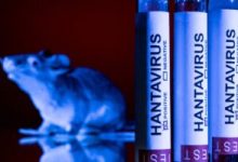 insp:-a-fost-raportat-un-caz-suspect-de-hantaviroza,-aflat-in-investigatie-epidemiologica