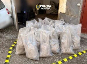 mures:-cinci-barbati,-sub-control-judiciar-cu-monitorizare-electronica-pentru-furtul-a-1,5-tone-de-monolit-ceramic