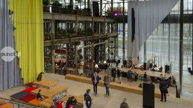 trei-biblioteci-din-europa-care-au-reinventat-spatiile-de-lectura,-inspiratie-pentru-targu-mures