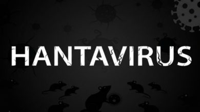 hantavirus:-starea-si-situatia-pacientului,-virusul-luat-de-la-sobolani!