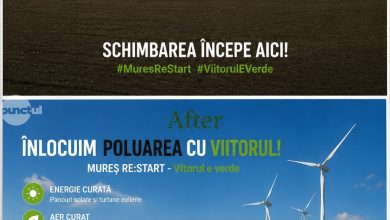 concurs-pentru-liceeni-mures-re:start-–-viitorul-e-verde!”.-propunerea-amaliei-lup-de-la-liceul-tehnologic-iernut