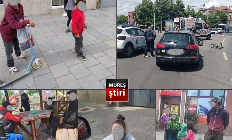 informare-oficiala:-politia-locala-targu-mures.-sinteza-activitatilor-si-a-principalelor-evenimente-11-–-17-mai-2026