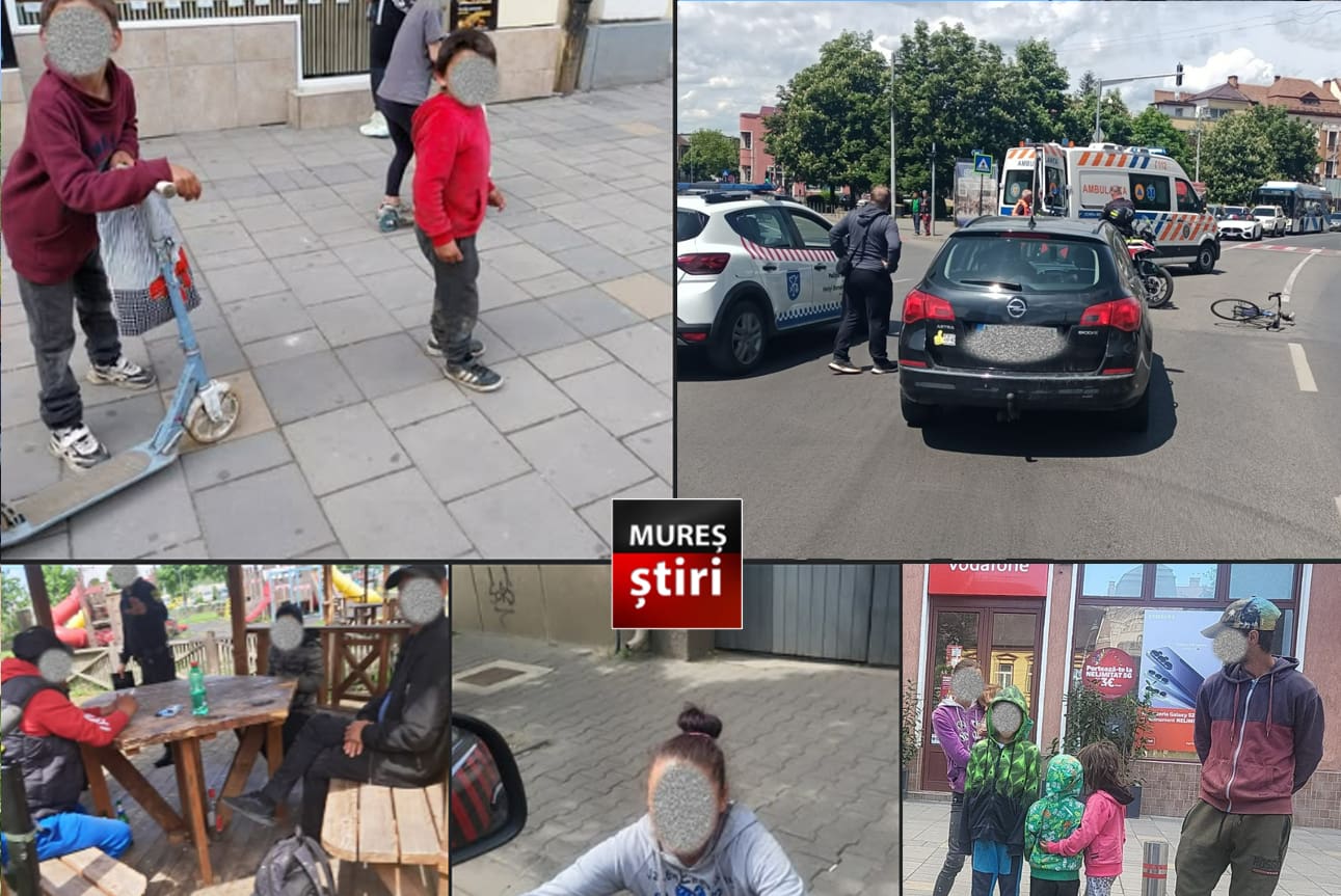 informare-oficiala:-politia-locala-targu-mures.-sinteza-activitatilor-si-a-principalelor-evenimente-11-–-17-mai-2026
