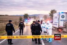 alerta-maxima-in-judetul-mures:-amenzi-drastice-si-confiscare-pe-loc-pentru-transporturile-ilegale-de-animale!