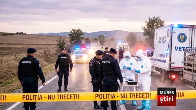 alerta-maxima-in-judetul-mures:-amenzi-drastice-si-confiscare-pe-loc-pentru-transporturile-ilegale-de-animale!