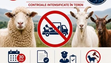 informare-privind-evolutia-focarelor-de-variola-ovina-si-caprina-in-judetul-mures