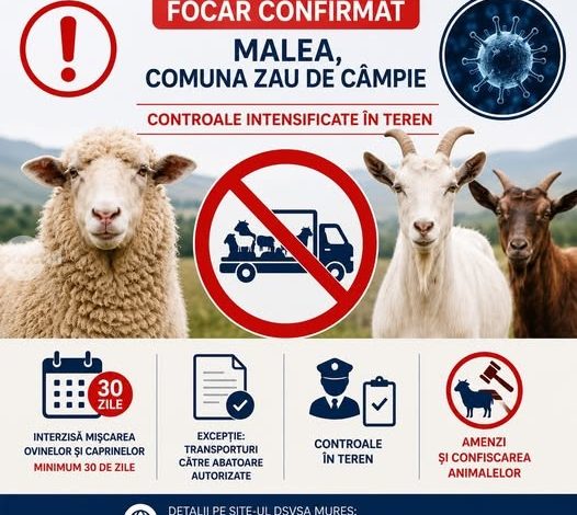 informare-privind-evolutia-focarelor-de-variola-ovina-si-caprina-in-judetul-mures