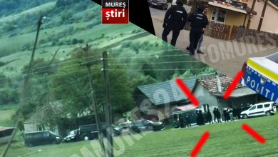 revoltator:-haos-si-violenta-extrema-in-mures!-doua-familii-s-au-macelarit-cu-bate-si-cutite-pentru-o-casa.-8-persoane,-arestate-preventiv!
