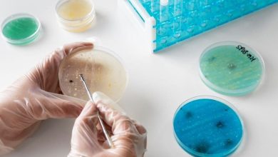 bilant-dsp-mures:-peste-1700-de-cazuri-de-infectii-nosocomiale-raportate-in-spitalele-muresene-in-2025
