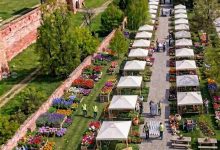 magia-primaverii-debuteaza-la-targu-mures:-prima-editie-a-evenimentului-isi-deschide-portile-pe-22-mai