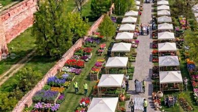 magia-primaverii-debuteaza-la-targu-mures:-prima-editie-a-evenimentului-isi-deschide-portile-pe-22-mai