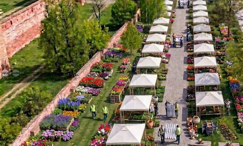 magia-primaverii-debuteaza-la-targu-mures:-prima-editie-a-evenimentului-isi-deschide-portile-pe-22-mai