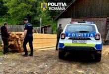 dosar-penal-la-o-firma-de-exploatarea-lemnului-din-brasov