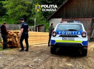 dosar-penal-la-o-firma-de-exploatarea-lemnului-din-brasov