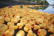 cursa-de-ratuste-ajunge-la-reghin-pe-1-iunie:-500-de-ratuste-vor-porni-pe-canalul-morii-pentru-o-cauza-caritabila