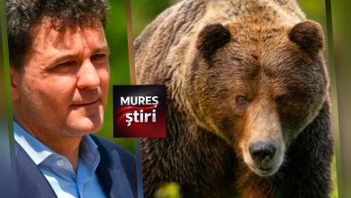 ultima-ora:-presedintele-nicusor-dan-blocheaza-la-ccr-legea-privind-eliminarea-ursilor!
