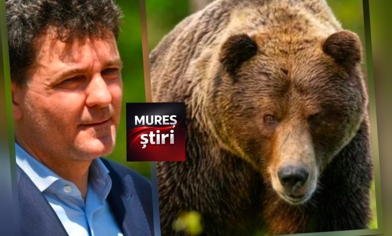 ultima-ora:-presedintele-nicusor-dan-blocheaza-la-ccr-legea-privind-eliminarea-ursilor!