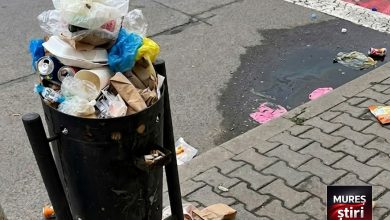 situatia-salubritatii-stradale-din-targu-mures:-blocaj-si-solutii-de-urgenta!