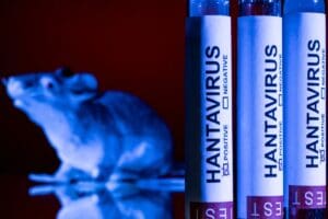 insp:-rezultat-negativ-pentru-hantavirus-in-cazul-pacientului-din-caras-severin