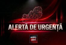alerta:-prezenta-urs-in-cartierul-belvedere-din-targu-mures!