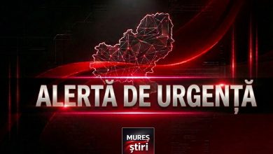 alerta:-prezenta-urs-in-cartierul-belvedere-din-targu-mures!