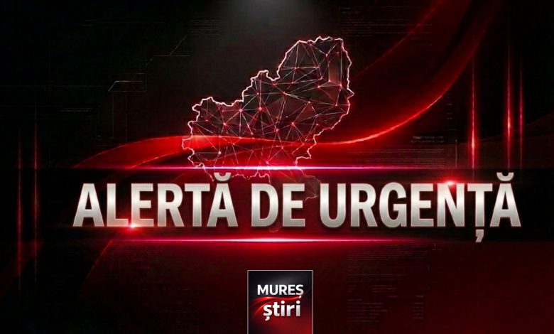 alerta:-prezenta-urs-in-cartierul-belvedere-din-targu-mures!