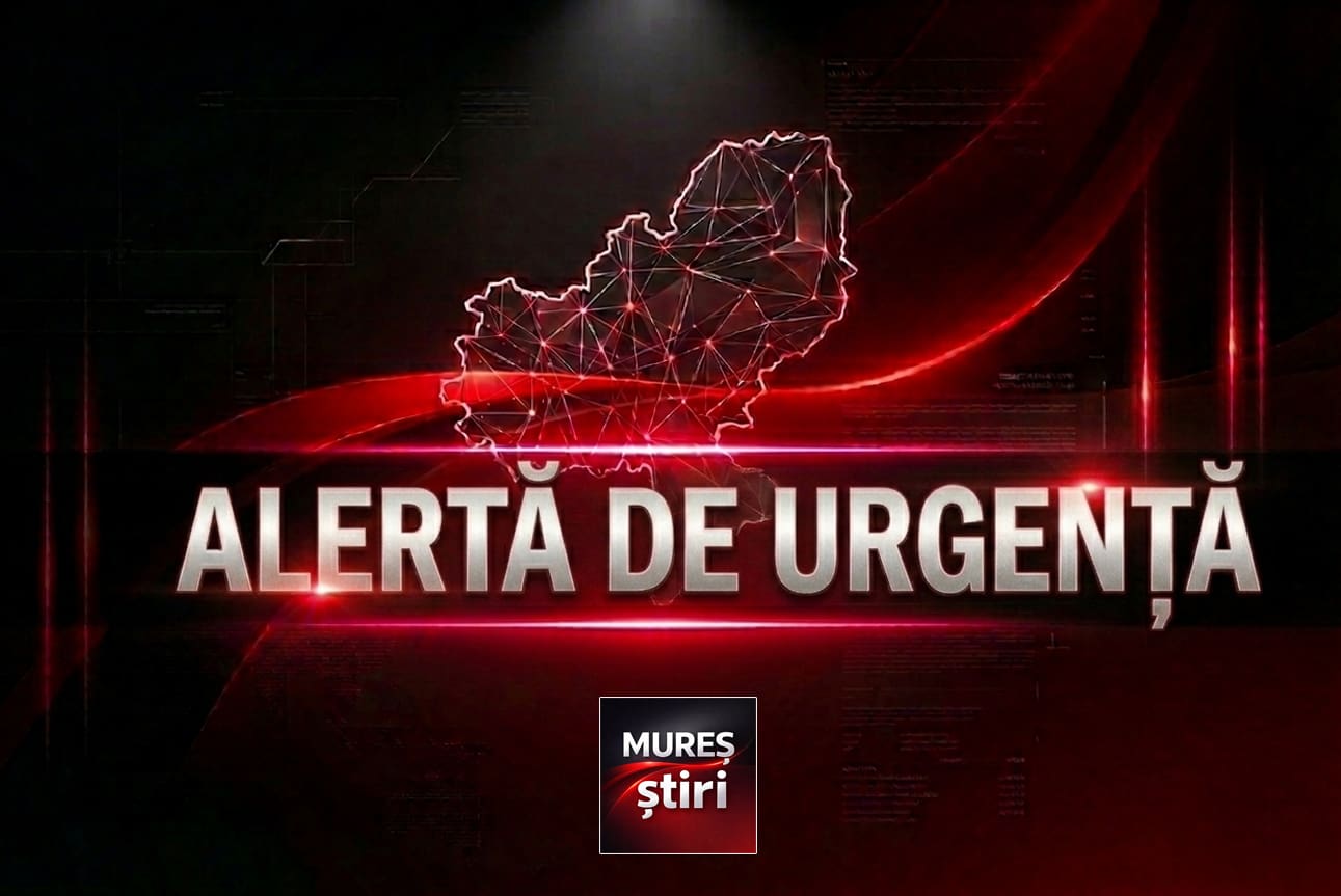 alerta:-prezenta-urs-in-cartierul-belvedere-din-targu-mures!