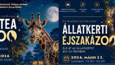 ”noaptea-muzeelor-la-zoo”,-la-targu-mures