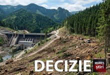 ultima-ora:-victorie-decisiva-pentru-mediul-inconjurator-la-rastolita!-inalta-curte-a-oprit-defrisarile-masive-in-muntii-calimani