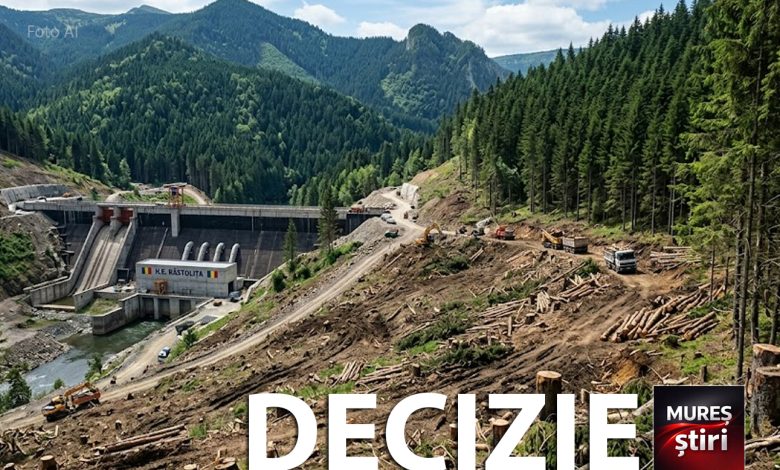 ultima-ora:-victorie-decisiva-pentru-mediul-inconjurator-la-rastolita!-inalta-curte-a-oprit-defrisarile-masive-in-muntii-calimani