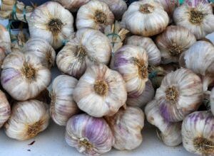 se-acorda-ajutorul-de-minimis-pentru-producatorii-de-usturoi