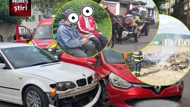 peste-380-de-sanctiuni-intr-o-saptamana:-radiografia-interventiilor-politiei-locale-in-targu-mures!
