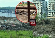 avertisment-garda-de-mediu-mures:-cartier-maurer-targu-mures,-sub-asediul-deseurilor!-locatarii-reclama-conditii-insalubre-si-mirosuri-insuportabile-|-video