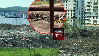 avertisment-garda-de-mediu-mures:-cartier-maurer-targu-mures,-sub-asediul-deseurilor!-locatarii-reclama-conditii-insalubre-si-mirosuri-insuportabile-|-video