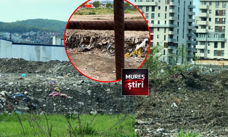 avertisment-garda-de-mediu-mures:-cartier-maurer-targu-mures,-sub-asediul-deseurilor!-locatarii-reclama-conditii-insalubre-si-mirosuri-insuportabile-|-video