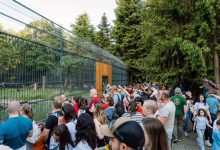 record-de-vizitatori-la-zoo-targu-mures