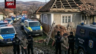alerta:-retea-de-„mesteri”-pradatori,-destructurata-dupa-ce-au-lasat-zeci-de-victime-fara-economii!-descinderi-de-amploare-in-mures-si-alte-judete