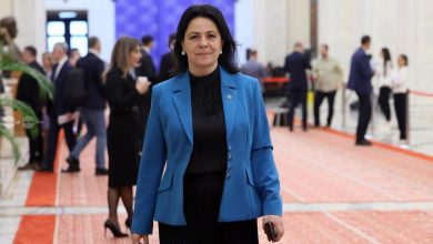 dumitrita-gliga:-psd-protejeaza-interesele-economice-ale-romaniei