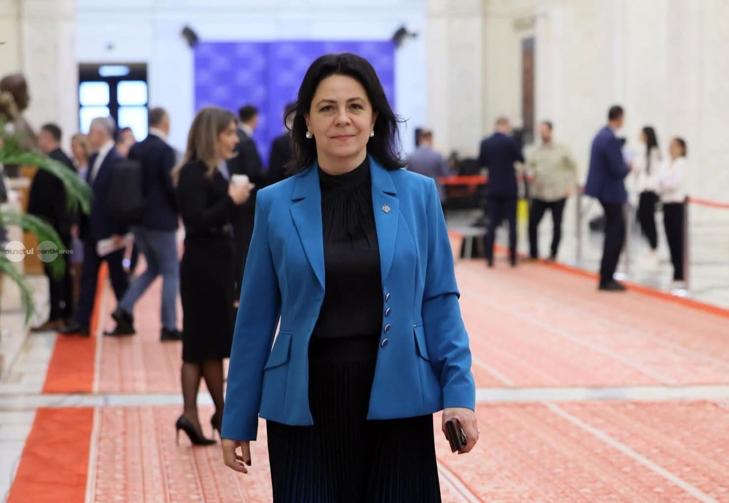 dumitrita-gliga:-psd-protejeaza-interesele-economice-ale-romaniei