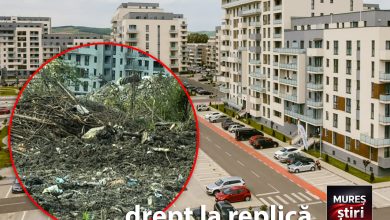 drept-la-replica-|-maurer-imobiliare-mures:-explicatii-privind-situatia-gestionarii-deseurilor-si-conditiile-din-zona-cartierului-rezidential!