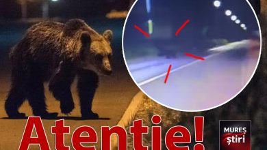 alerta-urs:-pericol-de-accident-pe-calea-sighisoarei-din-targu-mures!-video