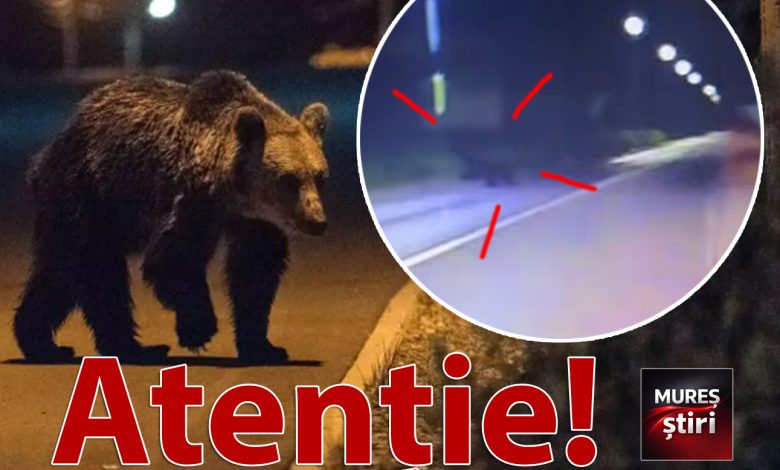 alerta-urs:-pericol-de-accident-pe-calea-sighisoarei-din-targu-mures!-video